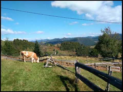 Dani Balea - taragot,Imagini Garda de Sus