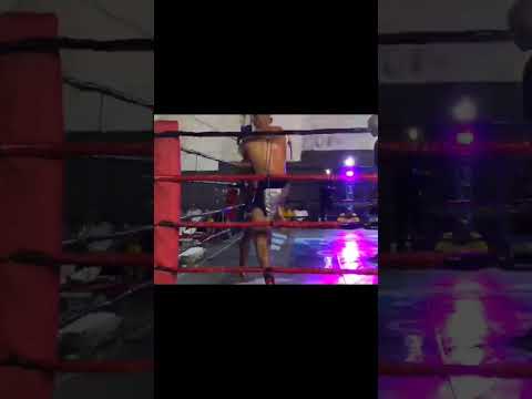 Pitbull enraivado 🔥🔥👊🏽 #shortsfeed #shortvideo #brasil #muaythai #ufc #canalcombate  #thailand #rj