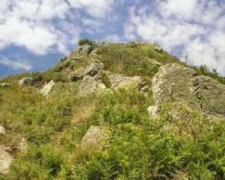 Summer (1st movement, Allegro non molto) - Antonio Vivaldi