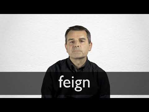 Synonym of the Day - feign