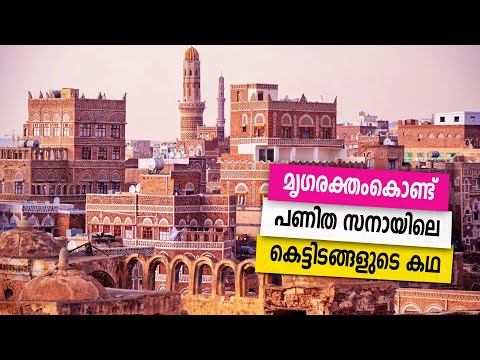 Sancharam | By Santhosh George Kulangara | Yemen 05 | Safari TV