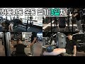 허둥지동ㅣ운동 일기 3일차 하체 가슴 대근육 운동(feat.MSG훈)