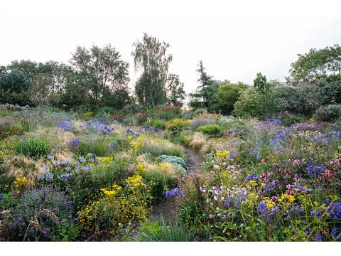 Noel on the future of ecological planting design