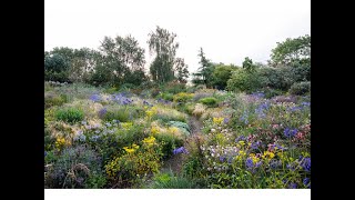 Noel on the future of ecological planting design