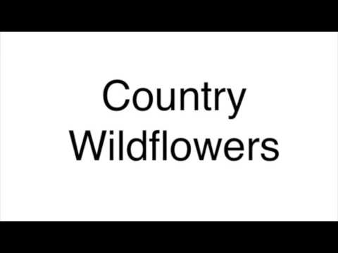 Country Wildflower