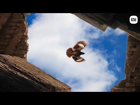 Mi 11 Ultra - A Visual Journey! - Coming Soon