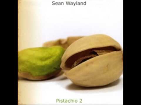 Sean Wayland - This Is Proof