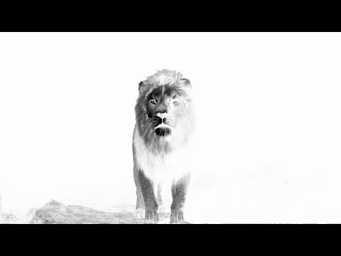 Meteor Airlines - Barbary Lion (Official Music Video)