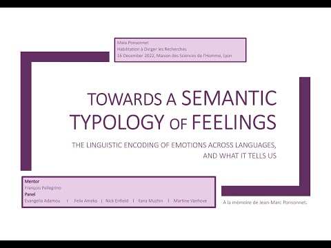 Towards a semantic typology of feelings. The linguistic encoding of emotions across languages