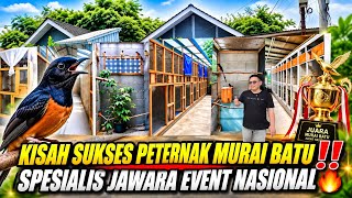 Download lagu SUCCESS STORY OF A MURAI BATU BREEDER: NATIONAL CHAMPION SPECIALIST IN BOGOR | KAHURIPAN BIRD FARM mp3