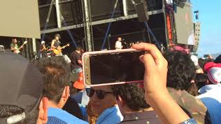 Jarabe de palo - Pura sangre - Pulso 2018