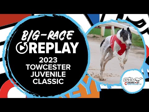 2023 Towcester Juvenile Classic Final - Droopys Clue | Greyhound Race Replays | 2023 Big Finals