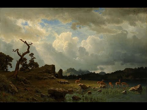 JOB 38-42 - "The Storm"