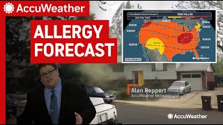 2026 Allergy Forecast: When Will Pollen Be Bad Across the US