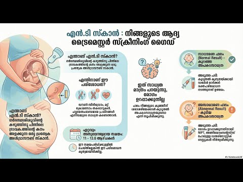 The NT Scan — video thumbnail