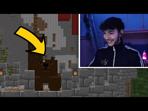 ORSI INVADONO IL CASTELLO - Pandora SMP