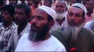 ইলিশের ডকুমেন্টারী