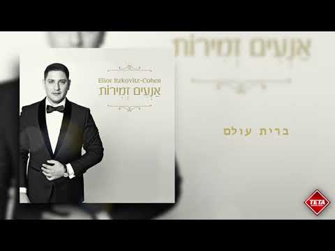 אליאור איצקוביץ׳- ברית עולם | Elior Itskovich - Brit Olam | TETA