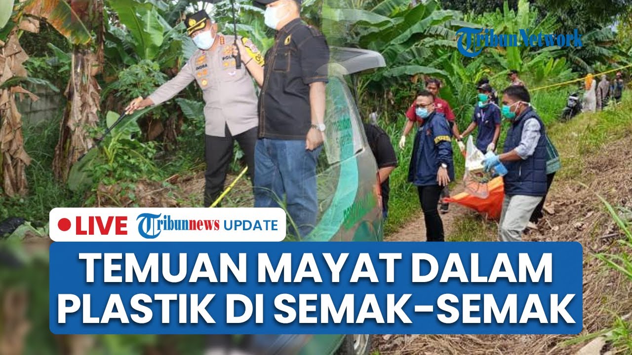 LIVE: Geger Temuan Mayat Terbungkus Plastik di Kebun Pisang Cikupa, Diduga Ada Tanda Kekerasan