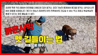 유튜브 썸네일