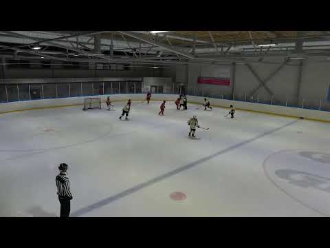 AA 17.1.2021  Diskos keltainen-Karstulan Kiva