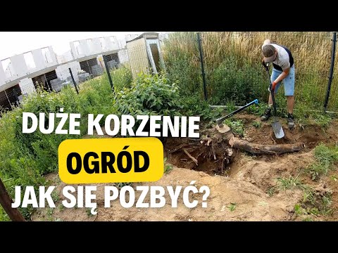 241. I manually remove tree roots from my garden. How do I remove a tree root? Digging up the roots