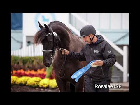 ISF Wins the 2023 USEF Leading Owner Dressage Breeding Award!