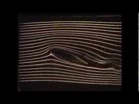 Wing lift Holger Babinsky