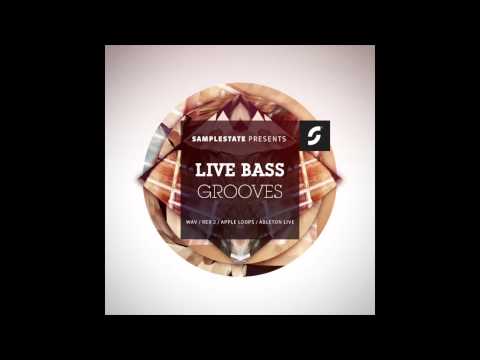 Samplestate  "Live Bass Grooves"