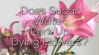 Does Sugar Water Make Flowers Last Longer?