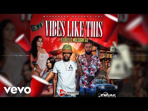 Molodan 6ix, Fadda Bookie - Vybz Like This (Official Visualiser)