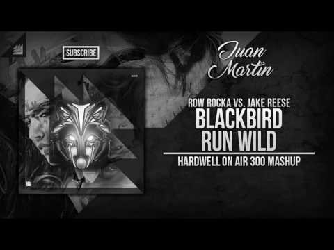 Blackbird vs. Run Wild (Hardwell On Air 300 Mashup)