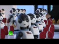 В Токио представили новинки роботостроения 