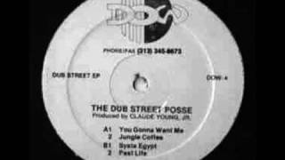 The Dub Street Posse (Claude Young) - You Gonna Want Me
