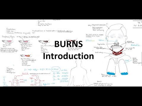 Burns Introduction Part 1 Signs and Symptoms, Patho, Diagnosis