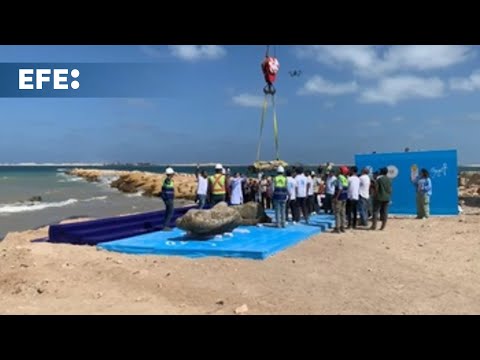 EGIPTO: DESCUBREN RESTOS de una CIUDAD SUMERGIDA FRENTE a la COSTA | RTVE Noticias