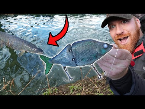 I Threw The Biggest Lure In The Tackle Box and Caught a River Giant!