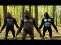 Manda Bai Funny Monkey Dance
