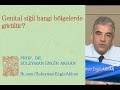 Prof. Dr. Süleyman Engin Akhan Prof. Dr. Süleyman Engin Akhan