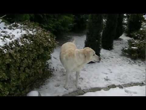 JVC Everio GZ-HM300SE Full-HD Test 01