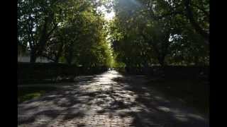 University of Montana Timelapses