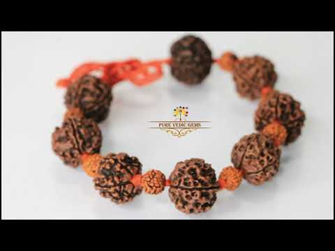 5 Mukhi Rudraksha Bracelet video