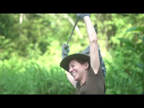 The Great Orangutan and Pygmy Elephant Project | The Great Projects