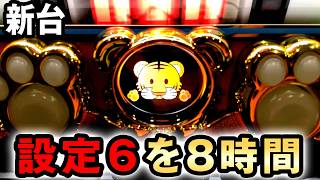【新台】マイジャグ6の設定6を8時間打った結果 [マイジャグラーⅥ] 桜#866