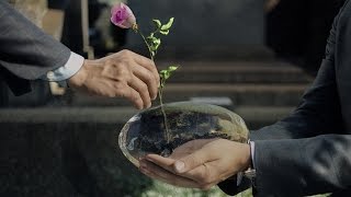 A Rose Reborn – full movie by Zegna: Director’s cut