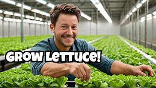 Learn Growing Lettuce Indoor HYDROPONIC SYSTEM Cheap Setup
