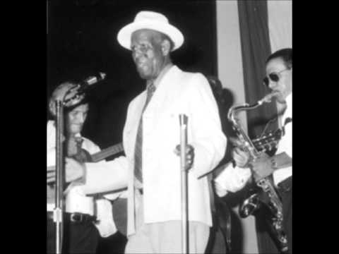 Ms Dorothy  Roaring Lion