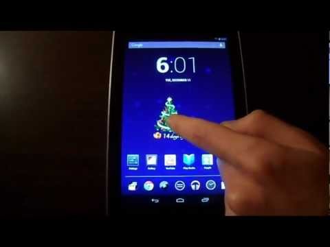 Christmas Live Tree 2013 Video