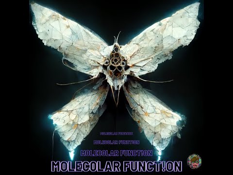 Molec0lar Funct!on