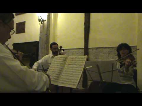 Haydn, Joseph: String Quartet in D Major, Op. 64, No. 5 "The Lark", II - Adagio - Cantabile